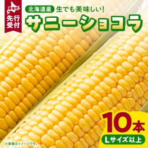 ふるさと納税 雨竜町 【令和6年産先行受付】生でも美味しい! とうもろこし 「 サニーショコラ 」 ...