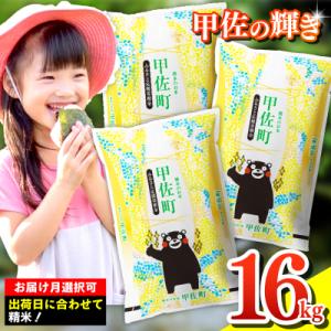 令和7年産【定期便6ヶ月】『甲佐の輝き』精米16kg【配送指定可】【ZM】