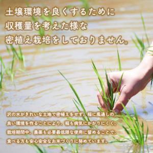 ふるさと納税 三種町 《定期便10ヶ月》【3分...の詳細画像3