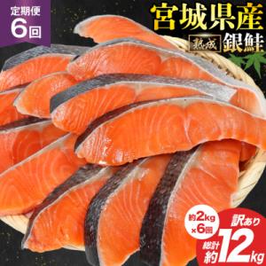 定期便《6ヶ月》 訳あり 宮城県産 銀鮭 切身 約2kg×6回 計12kg [20564499]