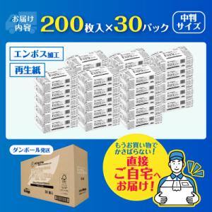 ふるさと納税 富士市 ペーパータオル 30パッ...の詳細画像2
