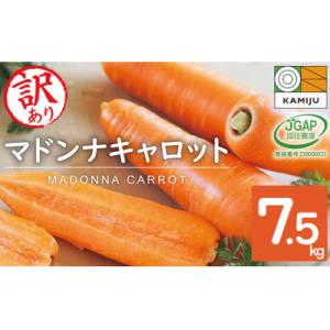 ふるさと納税 碧南市 訳あり!こどもも食べられる甘み!「マドンナキャロット」 7.5kg にんじん 野菜　H105-121