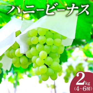 ふるさと納税 都農町 先行受付≪期間限定≫都農町産ハニービーナス(計2kg) ぶどう フルーツ 果物...