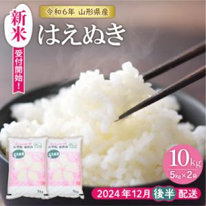 ふるさと納税 東根市 【令和6年産 先行受付】はえぬき10kg (2024年12月後半送付)JA提供...