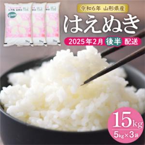 ふるさと納税 東根市 【令和6年産 先行受付】はえぬき15kg (2025年2月後半送付)JA提供 ...