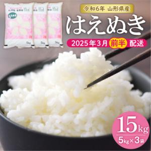 ふるさと納税 東根市 【令和6年産 先行受付】はえぬき15kg (2025年3月前半送付)JA提供 ...