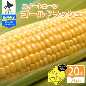 ふるさと納税 芽室町 【先行受付】北海道十勝芽室町 スイートコーンゴールドラッシュ20本 me001...