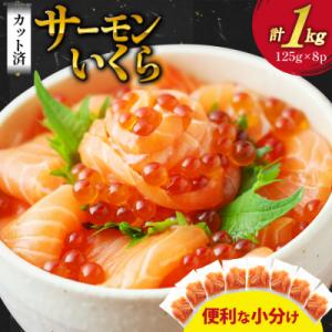 ふるさと納税 気仙沼市 サーモン いくら 丼 セット カット済み 個包装 125g×8p 合計1kg...