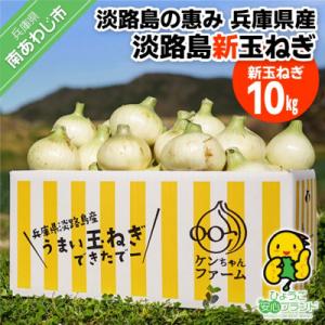 【新玉受付!】＼うまい玉ねぎできたでー/ 特別栽培新玉ねぎ10kg　◆配送R9.3月中旬～5月末