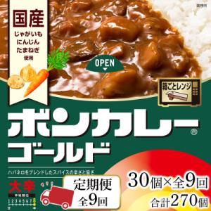 ふるさと納税 徳島市 【定期便 全9回】ボンカレ...の商品画像
