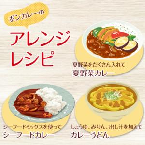 ふるさと納税 徳島市 【定期便 全10回】ボン...の詳細画像3