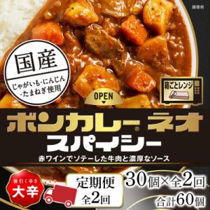 ふるさと納税 徳島市 【定期便 全2回】ボンカレーネオ スパイシー後引く辛さ(大辛) 30個×2回　...