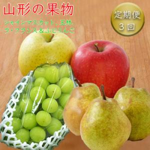 ふるさと納税 長井市 【R6年9〜12月分先行受付】果物定期便3回(シャインマスカット、王林、洋梨&ふじりんご)_H107｜y-sf