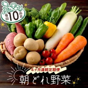 ふるさと納税 室戸市 朝どれ野菜10品目【4ヶ月連続定期便】｜y-sf