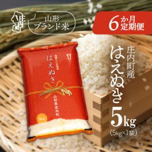 【6か月定期便】庄内米 はえぬき 5kg【7月中旬発送】