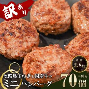 訳アリ 淡路島玉ねぎと国産牛のミニハンバーグ2.8kg　40g×70個　at04118