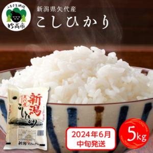 ふるさと納税 妙高市  2024年6月中旬発送 新潟県矢代産コシヒカリ5kg