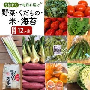 ふるさと納税 徳島市 【12ヶ月定期便】野菜 くだもの 米(月替わりで毎月お届け)【BU002】