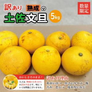 ふるさと納税 四万十市 【訳あり・数量限定】熟成の土佐文旦5kg【家庭用】【発送時期:2024年3月...