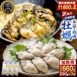 牡蠣 訳あり 氷温熟成 冷凍 (加熱用) 220g × 3パック むき身 まるたか水産 石巻市
