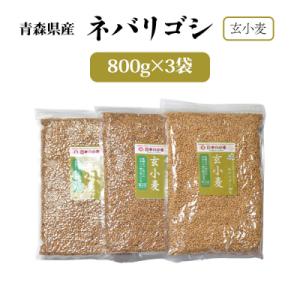 ふるさと納税 つがる市 国産小麦 ネバリゴシ中力系 800g×3 [0572]｜y-sf