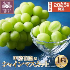 ふるさと納税 甲府市 〈2024年度配送分〉甲府市産 シャインマスカット 2房(1.0kg以上)