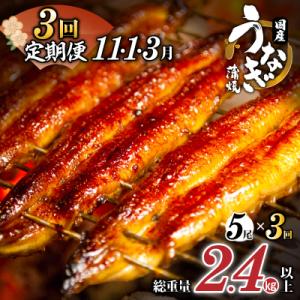 ふるさと納税 都農町 先行受付≪定期便全3回≫うなぎ蒲焼5尾(総重量2.4kg以上) 鰻 加工品 国...