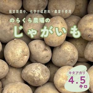 ふるさと納税 佐久穂町 地下むろでじっくり熟成した　のらくら農場のじゃがいも(キタアカリ)　4.5kg　〔NK-18〕｜y-sf