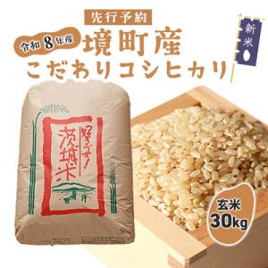 ふるさと納税 境町 米 玄米 コシヒカリ 30kg 令和8年産 国産 茨城県 境