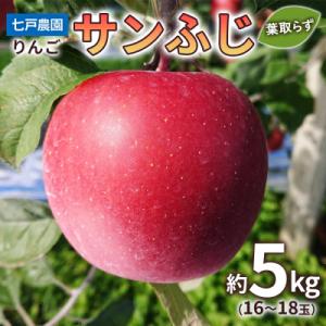 りんご サンふじ 葉取らず 約5kg(16から18玉) 青森産 [0831]