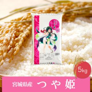 ふるさと納税 大崎市 《精米》令和5年産 宮城県産つや姫5kg