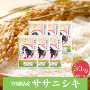 ふるさと納税 大崎市 《精米》令和5年産 宮城県産ササニシキ30kg