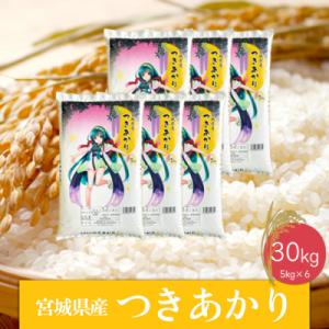 ふるさと納税 大崎市 《精米》令和5年産 宮城県産つきあかり30kg