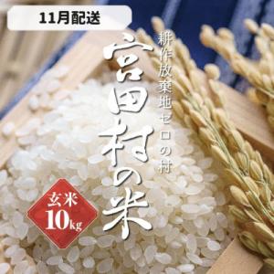 ふるさと納税 宮田村 【先行受付】【令和6年米】減農薬栽培(栽培期間中)コシヒカリ/玄米/10kg/...