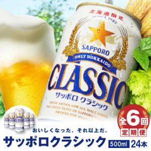 ふるさと納税 恵庭市 『定期便:全6回』サッポロクラシック500ml×24本【北海道限定】【3000...