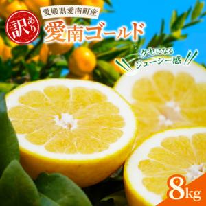 ふるさと納税 愛南町 愛南ゴールド ( 河内晩柑 ) 8kg 愛南町 青果市場 なくなり次第終了