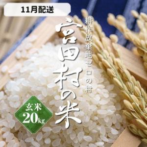 ふるさと納税 宮田村 【先行受付】【令和7年米】【新米】長野県宮田村産コシヒカリ/玄米/20kg/11月配送