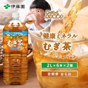 ふるさと納税 恵庭市 『定期便:全6回』健康ミネラル麦茶2L×6本×2箱【50000601】