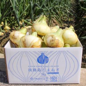 ふるさと納税 南あわじ市 【東中青果】うずしお...の詳細画像1