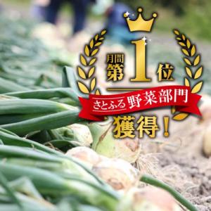 ふるさと納税 南あわじ市 【東中青果】うずしお...の詳細画像2