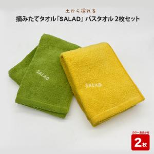 ふるさと納税 出雲市 土から採れる 摘みたてタオル 『SALAD』 バスタオル 2枚セット【2_8-...