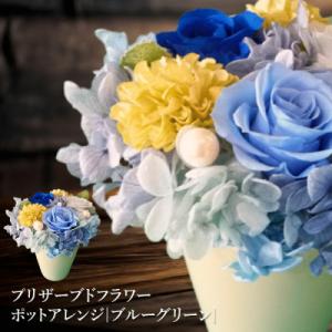 ふるさと納税 恵庭市 プリザーブドフラワー　ポットアレンジ(ブルーグリーン)【14001601】