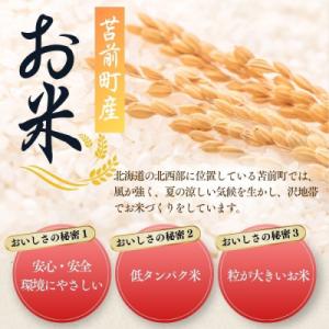 ふるさと納税 苫前町 令和7年産 北海道とまま...の詳細画像1