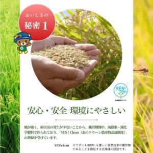 ふるさと納税 苫前町 令和7年産 北海道とまま...の詳細画像2