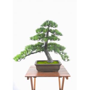 ふるさと納税 越知町 盆栽 松(造花)Go-566