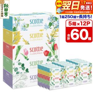 ティッシュ スコッティ フラワーボックス 250組 5箱×12パック|15_nsc-071201