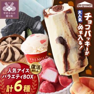 〈2026年6月発送〉チョコバッキーが必ず入る! 人気アイスバラエティBOX 6種