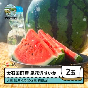 【先行予約】尾花沢すいか 2026年産 大玉 3L×2玉(1玉約8kg)  ja-suo2x3