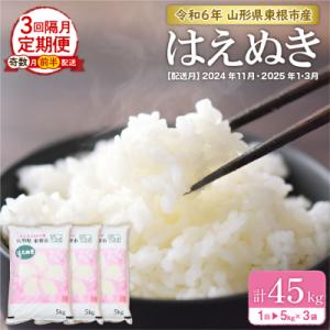 ふるさと納税 東根市 【令和6年産米 先行受付】※2024年11月前半スタート※ はえぬき15kg×3回 隔月定期便｜y-sf