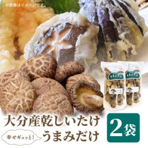 ふるさと納税 大分市 大分産乾しいたけ(うまみだけ) 80グラム×2種_F07037